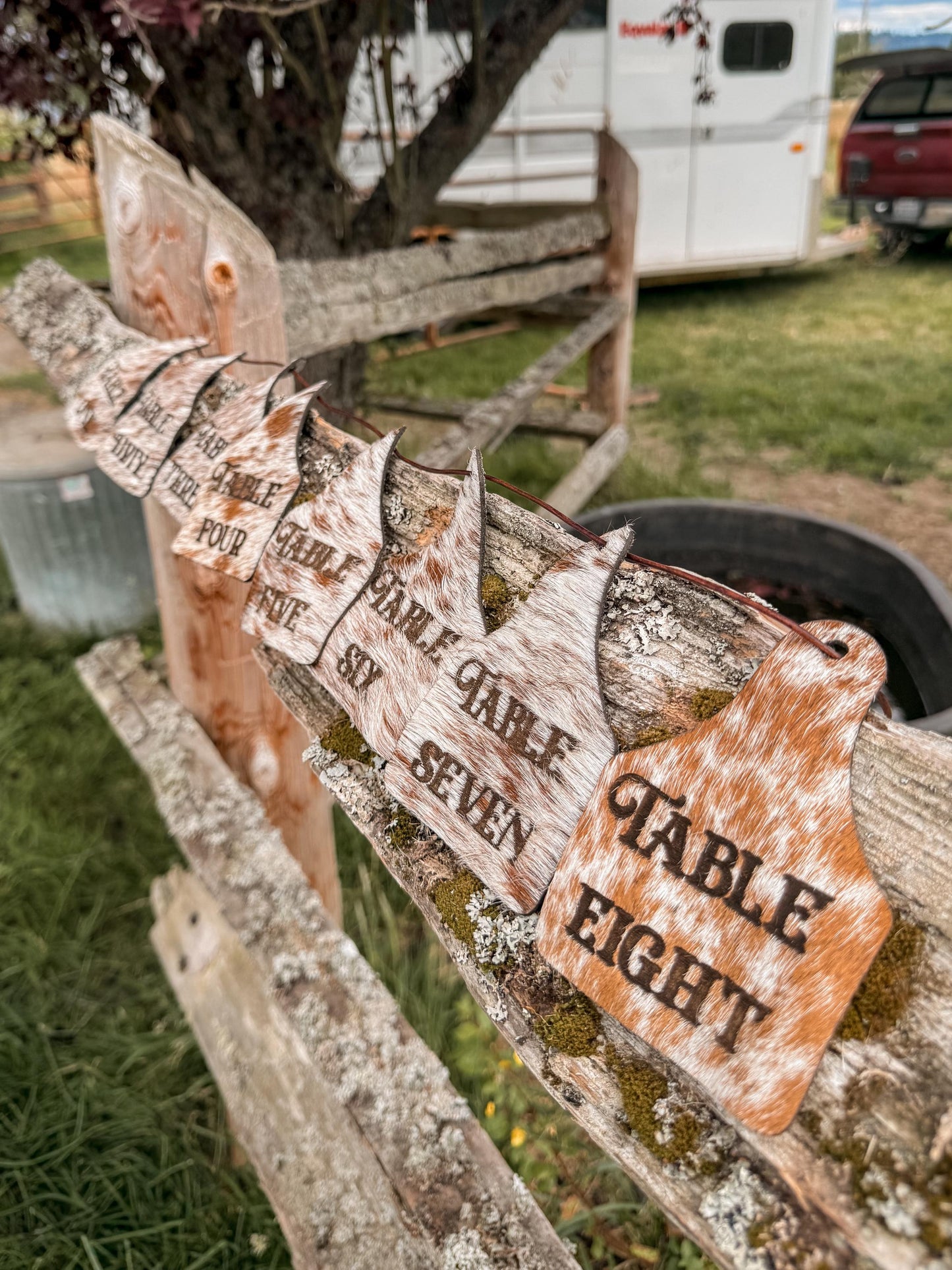 Cowhide table number tags