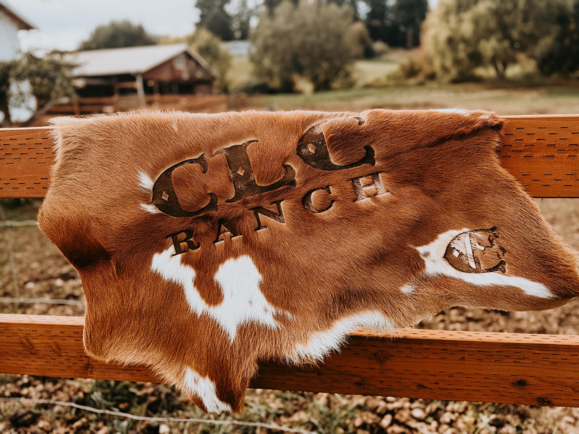 Genuine small hides - 2-3 ft